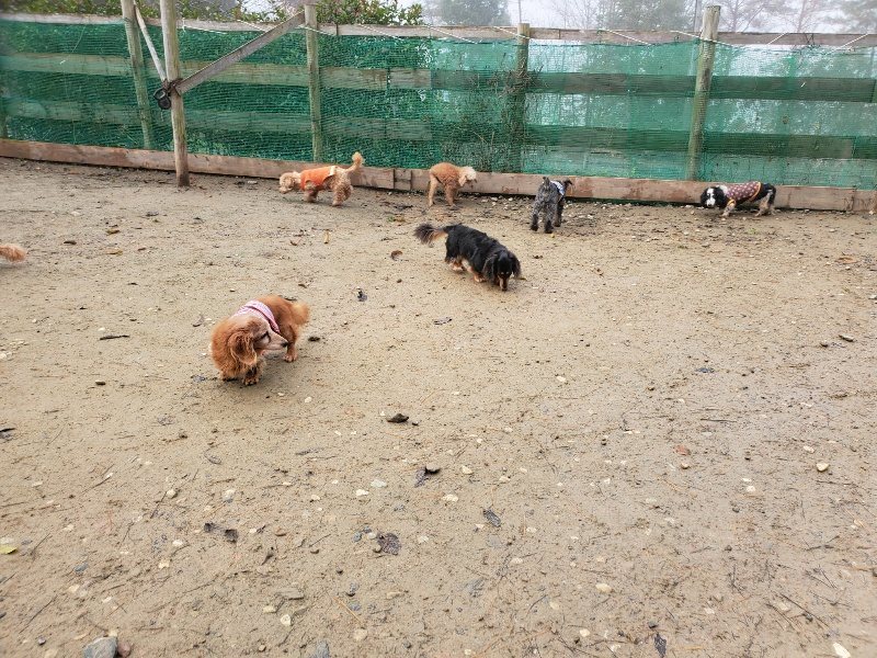 f:id:roukenhome-ann:20191213175716j:plain f:id:roukenhome-ann:20191213175716j:plain