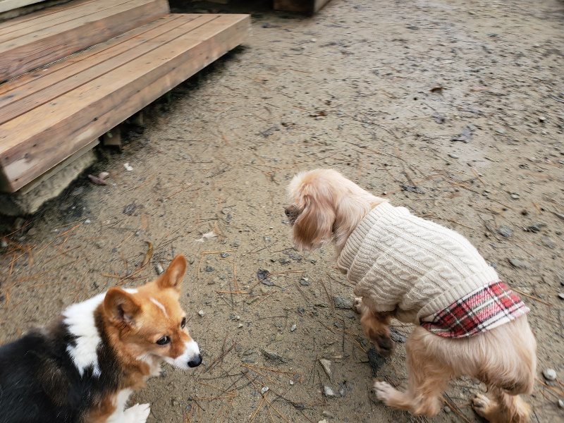 f:id:roukenhome-ann:20191213175733j:plain f:id:roukenhome-ann:20191213175733j:plain