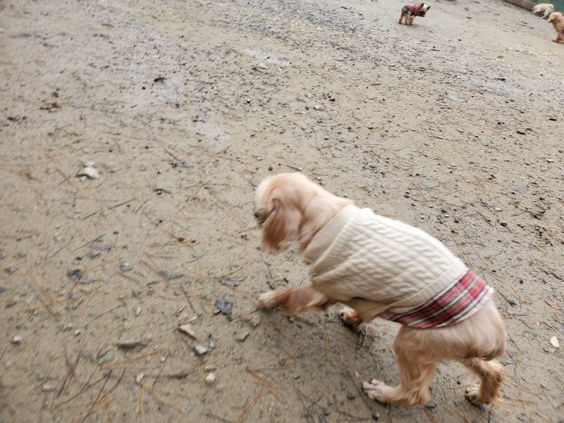 f:id:roukenhome-ann:20191213175749j:plain f:id:roukenhome-ann:20191213175749j:plain