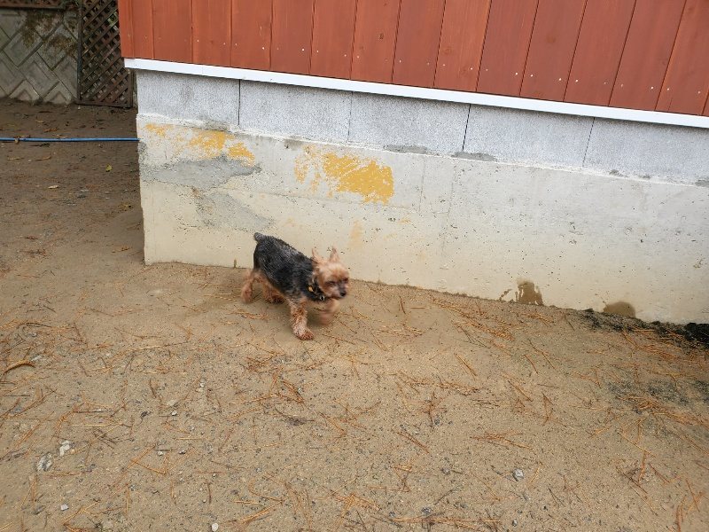f:id:roukenhome-ann:20191213175759j:plain f:id:roukenhome-ann:20191213175759j:plain