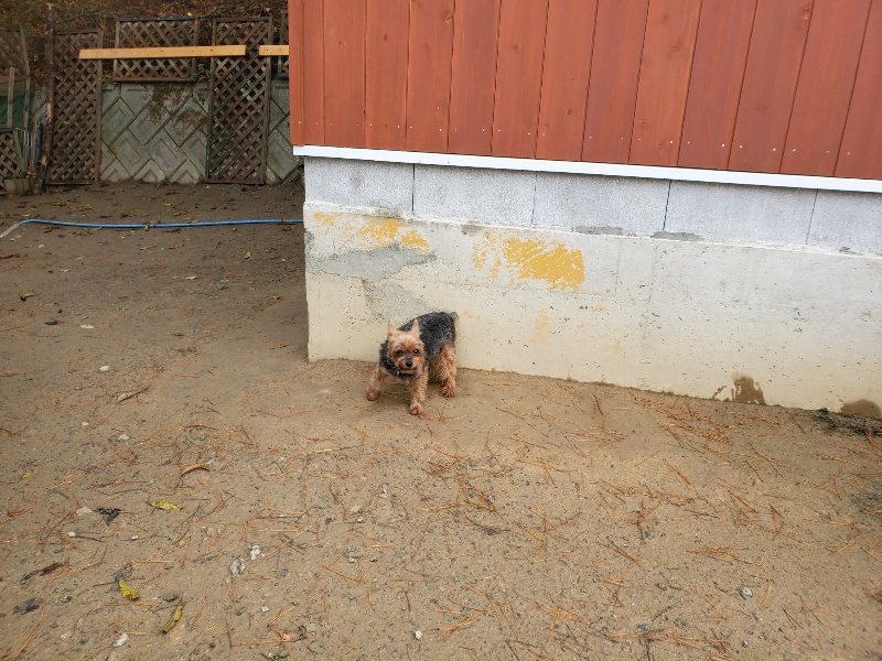 f:id:roukenhome-ann:20191213175805j:plain f:id:roukenhome-ann:20191213175805j:plain