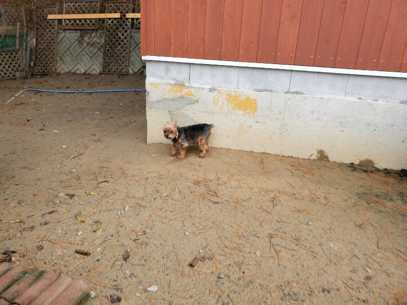 f:id:roukenhome-ann:20191213175811j:plain f:id:roukenhome-ann:20191213175811j:plain