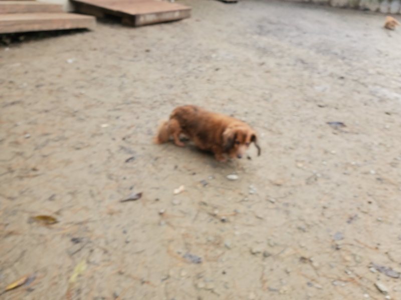 f:id:roukenhome-ann:20191213175827j:plain f:id:roukenhome-ann:20191213175827j:plain