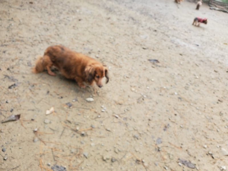 f:id:roukenhome-ann:20191213175833j:plain f:id:roukenhome-ann:20191213175833j:plain