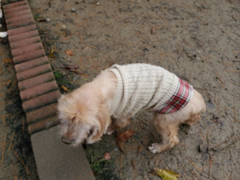 f:id:roukenhome-ann:20191213175838j:plain f:id:roukenhome-ann:20191213175838j:plain