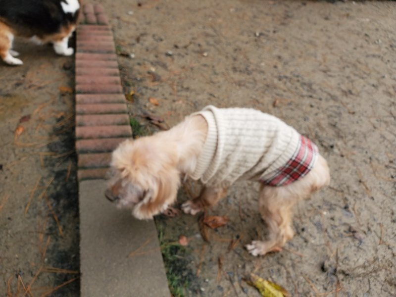 f:id:roukenhome-ann:20191213175847j:plain f:id:roukenhome-ann:20191213175847j:plain