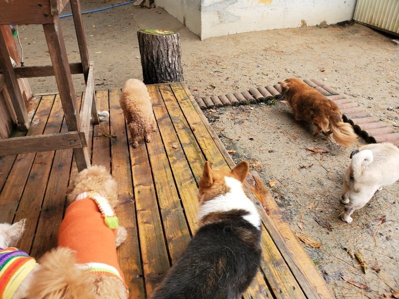 f:id:roukenhome-ann:20191213180218j:plain f:id:roukenhome-ann:20191213180218j:plain
