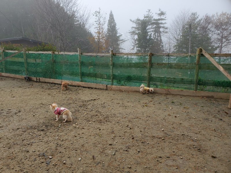 f:id:roukenhome-ann:20191213180236j:plain f:id:roukenhome-ann:20191213180236j:plain