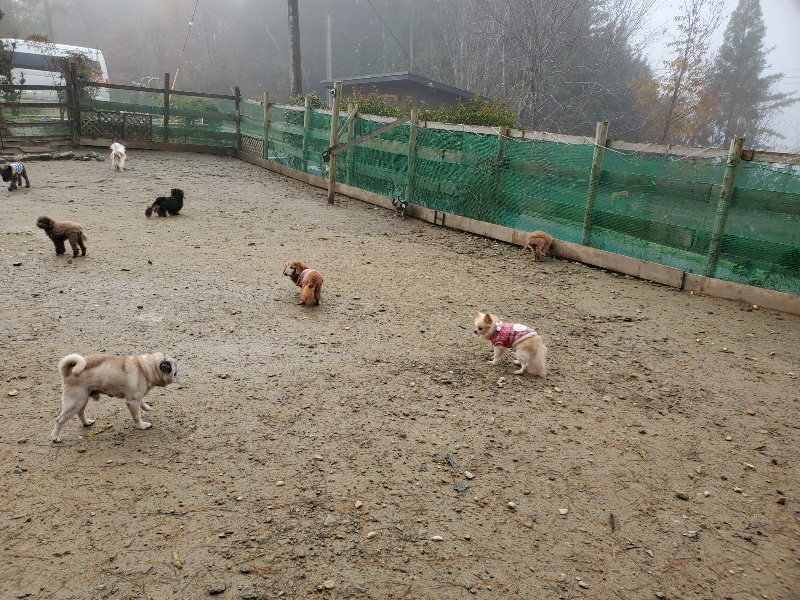f:id:roukenhome-ann:20191213180250j:plain f:id:roukenhome-ann:20191213180250j:plain