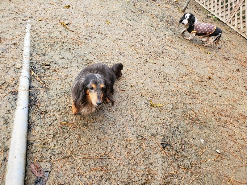 f:id:roukenhome-ann:20191213180330j:plain f:id:roukenhome-ann:20191213180330j:plain