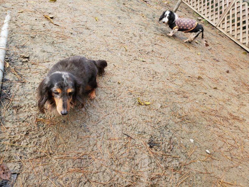 f:id:roukenhome-ann:20191213180338j:plain f:id:roukenhome-ann:20191213180338j:plain
