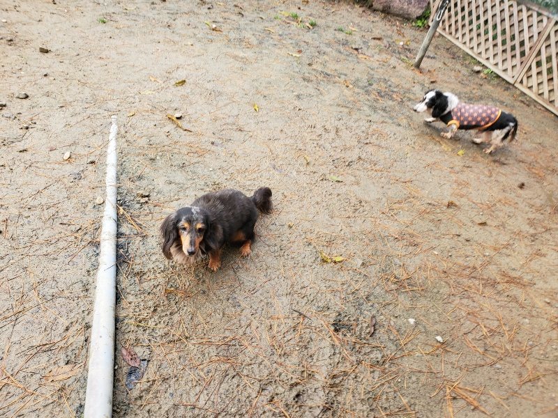 f:id:roukenhome-ann:20191213180351j:plain f:id:roukenhome-ann:20191213180351j:plain