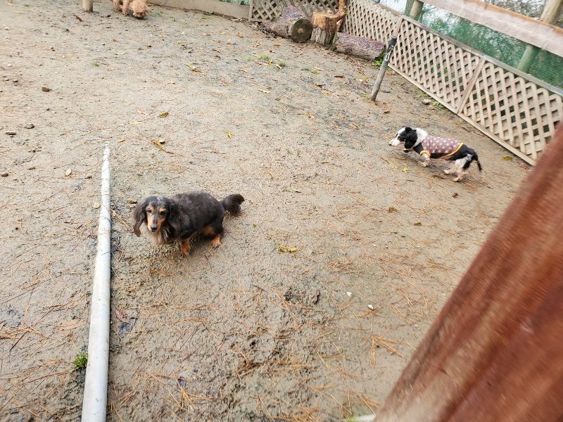 f:id:roukenhome-ann:20191213180402j:plain f:id:roukenhome-ann:20191213180402j:plain