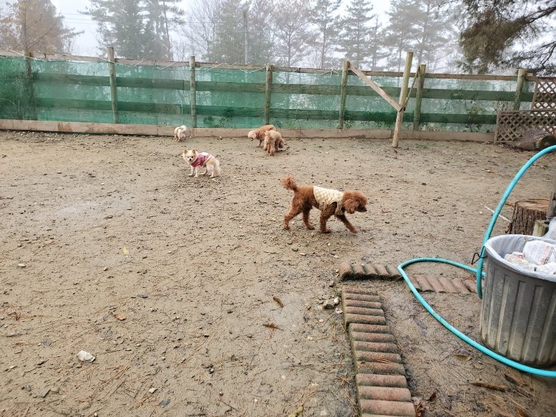 f:id:roukenhome-ann:20191213180409j:plain f:id:roukenhome-ann:20191213180409j:plain