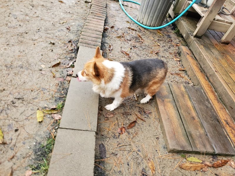 f:id:roukenhome-ann:20191213180431j:plain f:id:roukenhome-ann:20191213180431j:plain