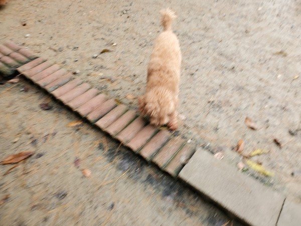 f:id:roukenhome-ann:20191213180615j:plain f:id:roukenhome-ann:20191213180615j:plain