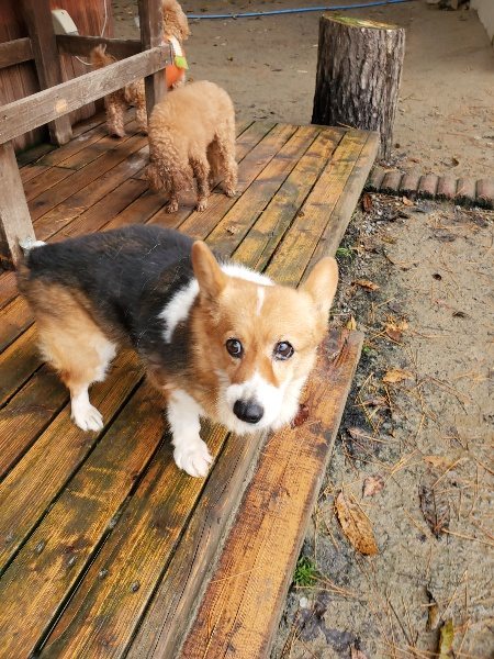 f:id:roukenhome-ann:20191213180622j:plain f:id:roukenhome-ann:20191213180622j:plain
