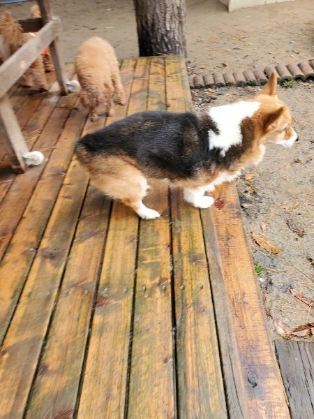 f:id:roukenhome-ann:20191213180626j:plain f:id:roukenhome-ann:20191213180626j:plain