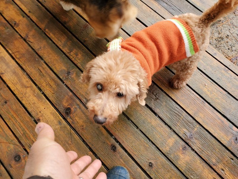 f:id:roukenhome-ann:20191213180921j:plain f:id:roukenhome-ann:20191213180921j:plain