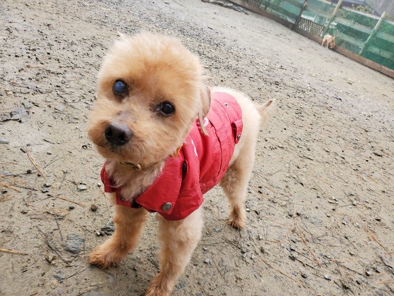 f:id:roukenhome-ann:20191213181021j:plain f:id:roukenhome-ann:20191213181021j:plain