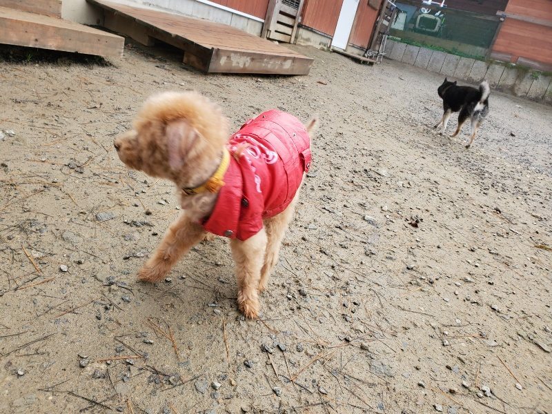 f:id:roukenhome-ann:20191213181035j:plain f:id:roukenhome-ann:20191213181035j:plain