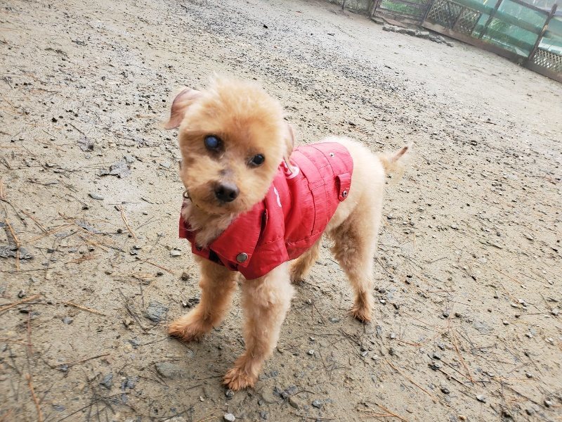 f:id:roukenhome-ann:20191213181041j:plain f:id:roukenhome-ann:20191213181041j:plain