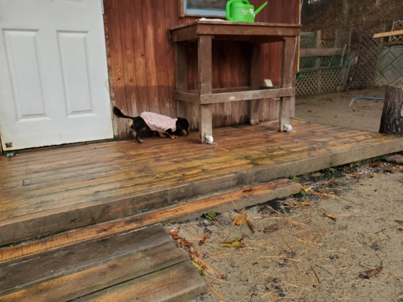 f:id:roukenhome-ann:20191213181049j:plain f:id:roukenhome-ann:20191213181049j:plain