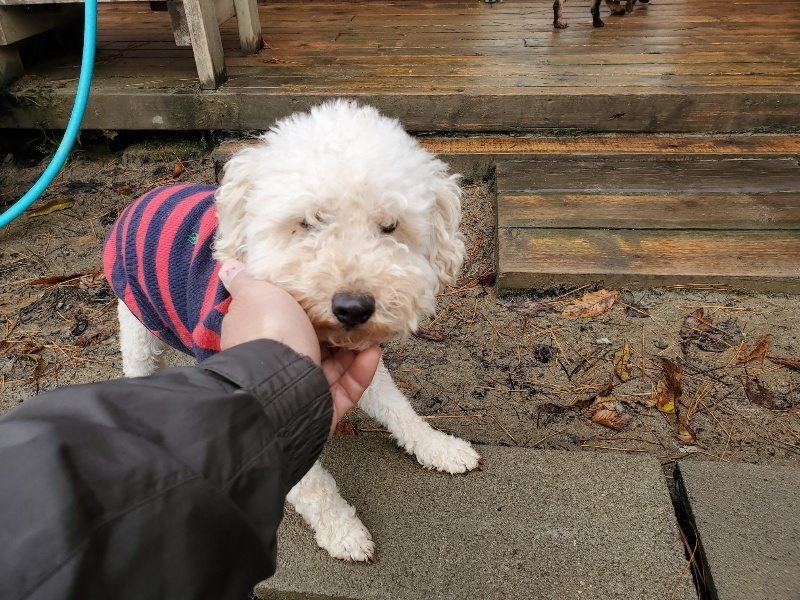 f:id:roukenhome-ann:20191213181107j:plain f:id:roukenhome-ann:20191213181107j:plain