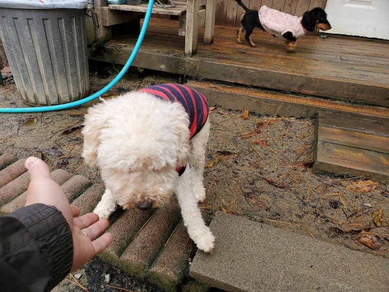 f:id:roukenhome-ann:20191213181123j:plain f:id:roukenhome-ann:20191213181123j:plain