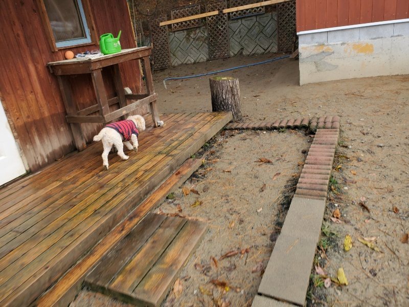 f:id:roukenhome-ann:20191213181150j:plain f:id:roukenhome-ann:20191213181150j:plain