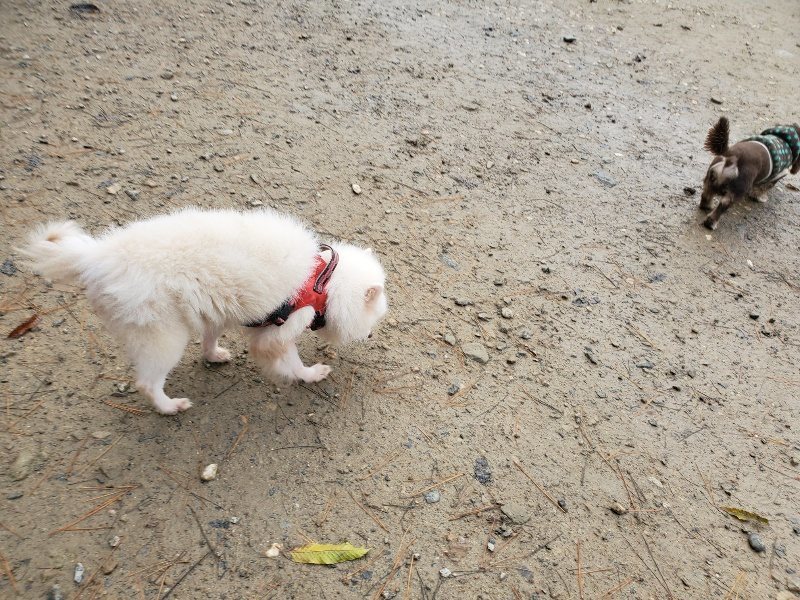 f:id:roukenhome-ann:20191213181201j:plain f:id:roukenhome-ann:20191213181201j:plain
