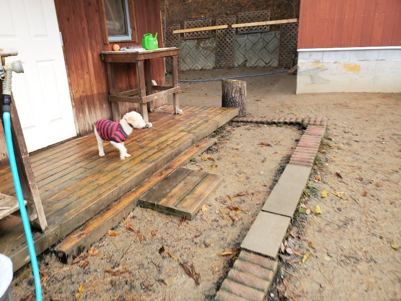 f:id:roukenhome-ann:20191213181212j:plain f:id:roukenhome-ann:20191213181212j:plain