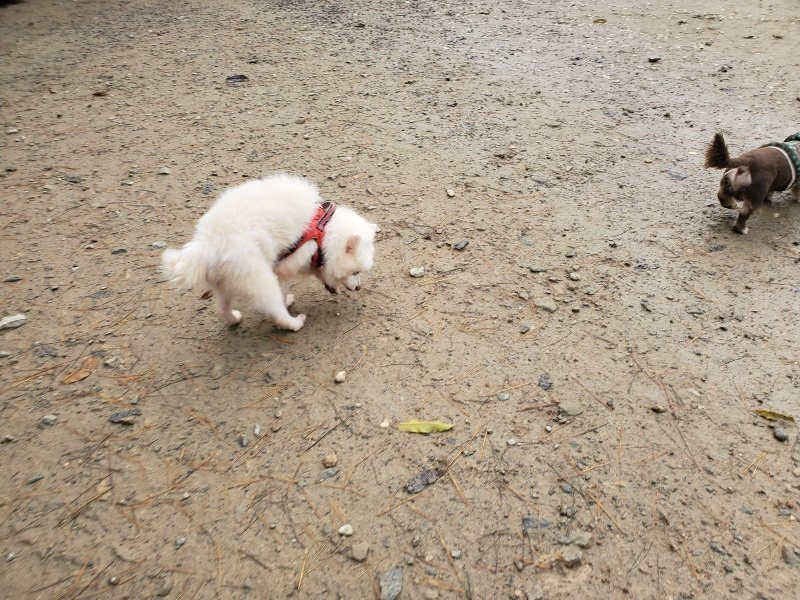 f:id:roukenhome-ann:20191213181221j:plain f:id:roukenhome-ann:20191213181221j:plain