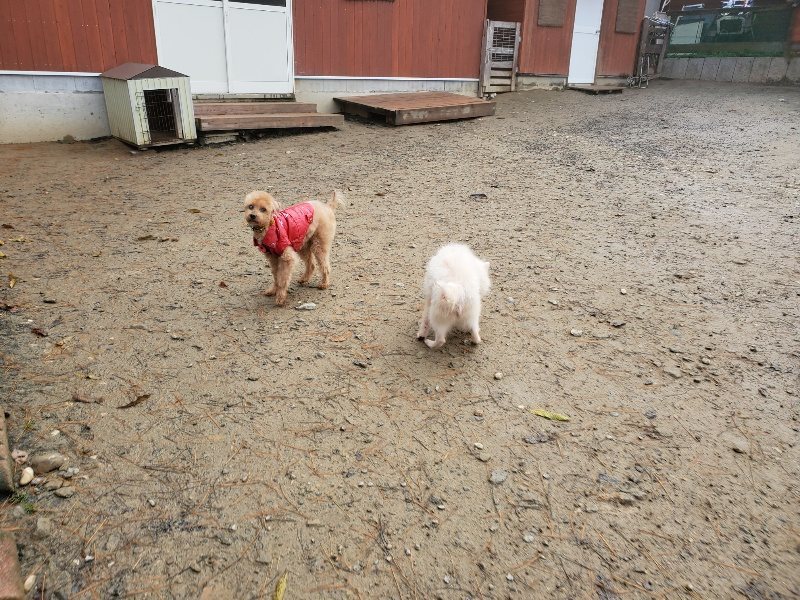 f:id:roukenhome-ann:20191213181232j:plain f:id:roukenhome-ann:20191213181232j:plain