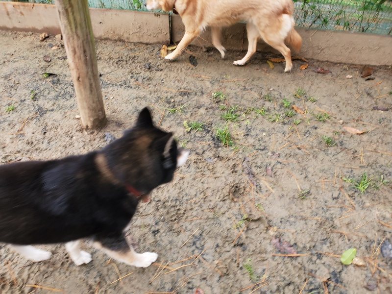 f:id:roukenhome-ann:20191213181241j:plain f:id:roukenhome-ann:20191213181241j:plain
