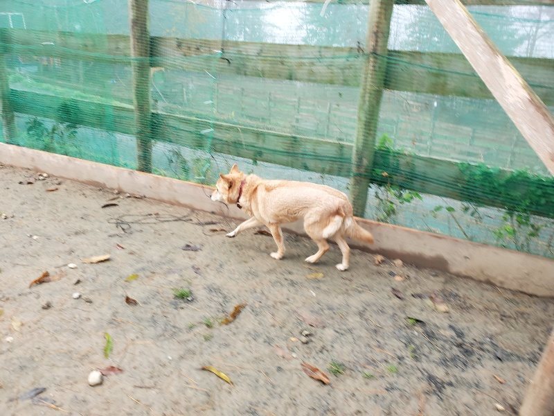f:id:roukenhome-ann:20191213181247j:plain f:id:roukenhome-ann:20191213181247j:plain