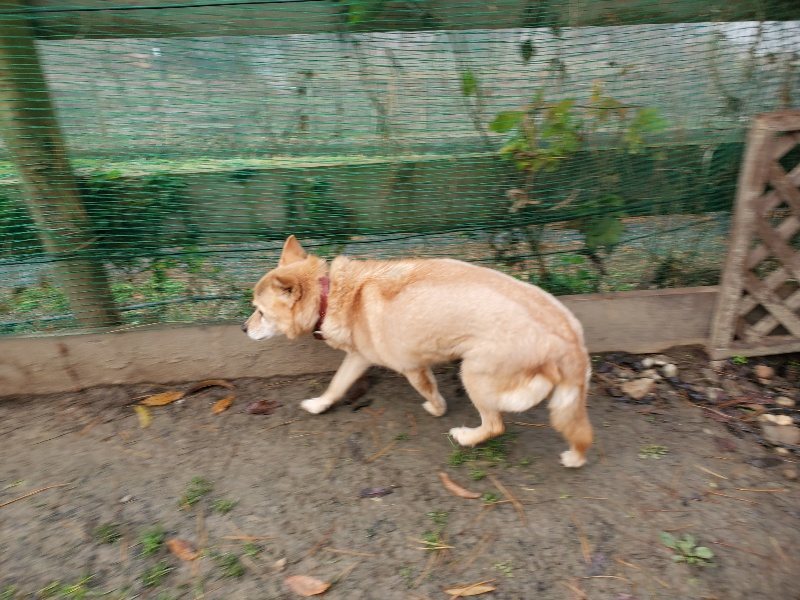 f:id:roukenhome-ann:20191213181256j:plain f:id:roukenhome-ann:20191213181256j:plain