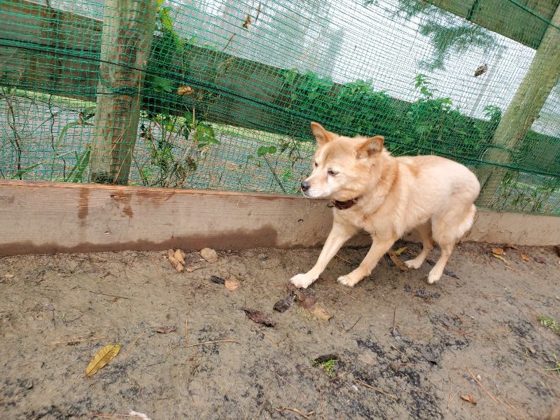 f:id:roukenhome-ann:20191213181311j:plain f:id:roukenhome-ann:20191213181311j:plain
