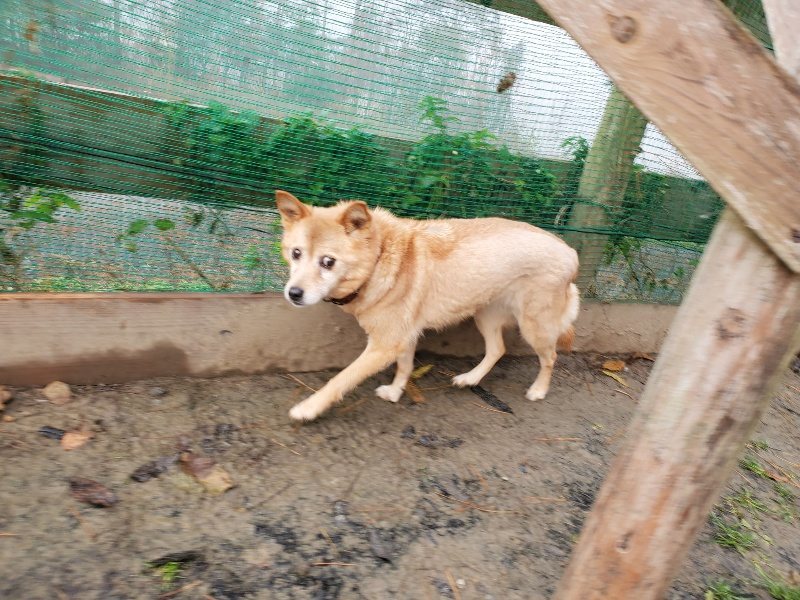 f:id:roukenhome-ann:20191213181317j:plain f:id:roukenhome-ann:20191213181317j:plain