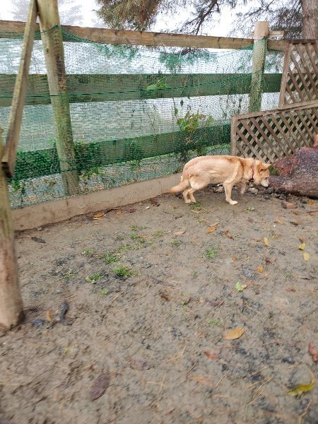 f:id:roukenhome-ann:20191213181324j:plain f:id:roukenhome-ann:20191213181324j:plain