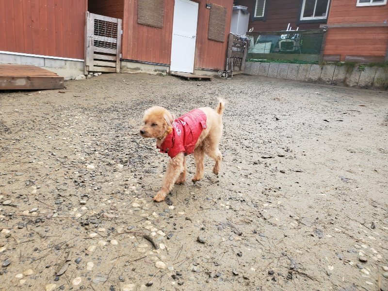f:id:roukenhome-ann:20191213181648j:plain f:id:roukenhome-ann:20191213181648j:plain