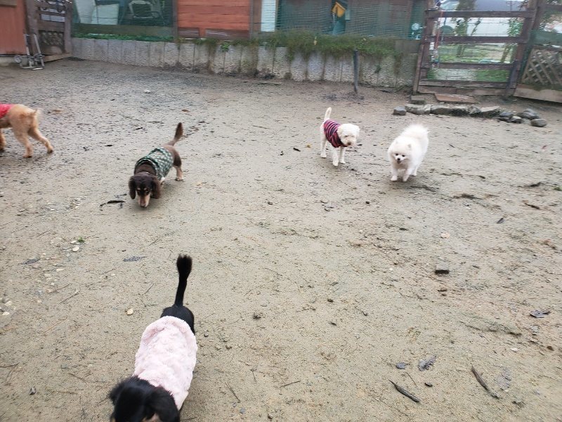f:id:roukenhome-ann:20191213181700j:plain f:id:roukenhome-ann:20191213181700j:plain