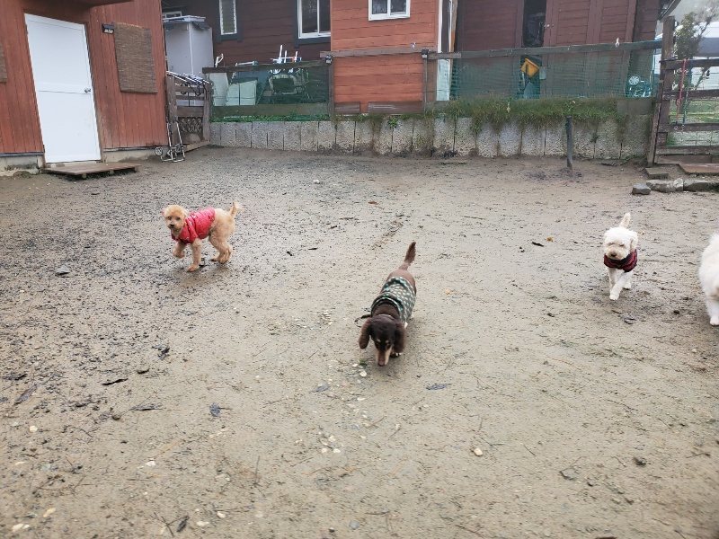 f:id:roukenhome-ann:20191213181713j:plain f:id:roukenhome-ann:20191213181713j:plain