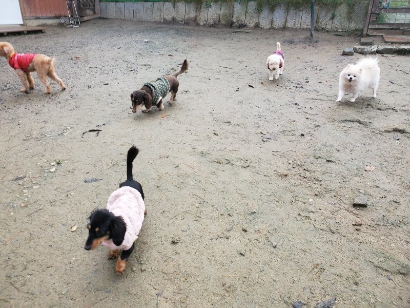 f:id:roukenhome-ann:20191213181719j:plain f:id:roukenhome-ann:20191213181719j:plain