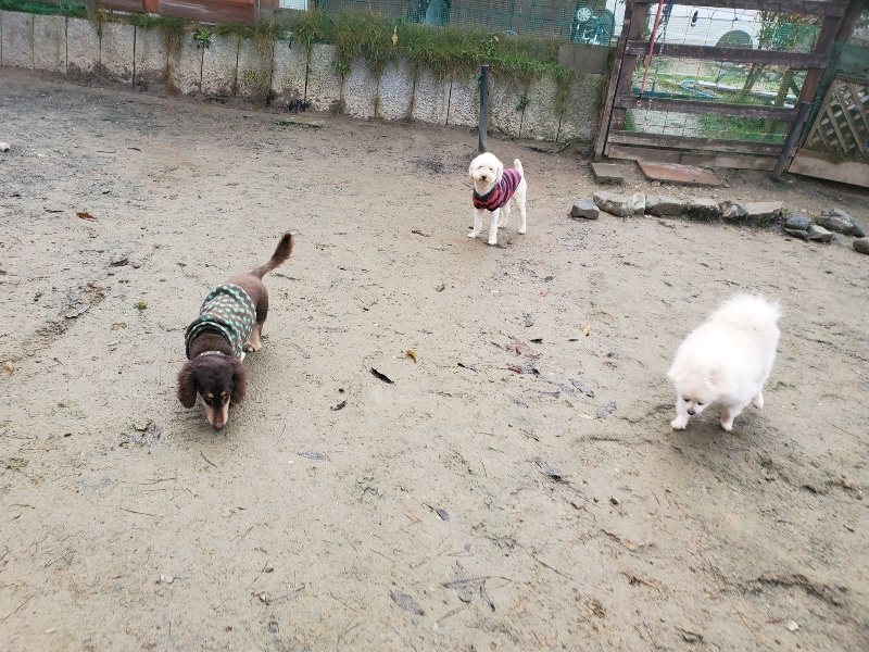 f:id:roukenhome-ann:20191213181747j:plain f:id:roukenhome-ann:20191213181747j:plain