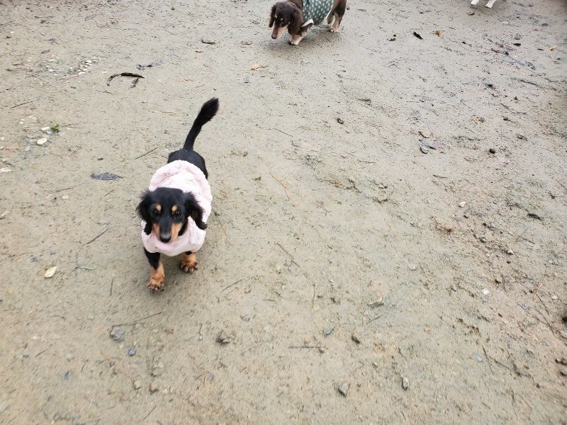 f:id:roukenhome-ann:20191213181756j:plain f:id:roukenhome-ann:20191213181756j:plain