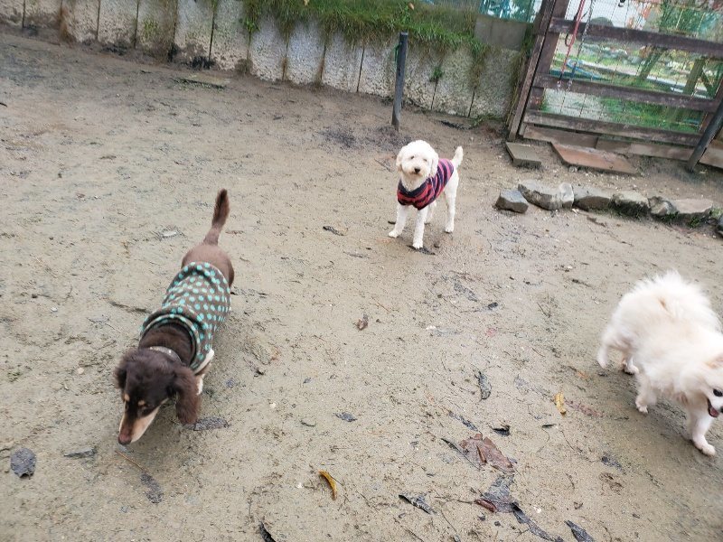 f:id:roukenhome-ann:20191213181821j:plain f:id:roukenhome-ann:20191213181821j:plain