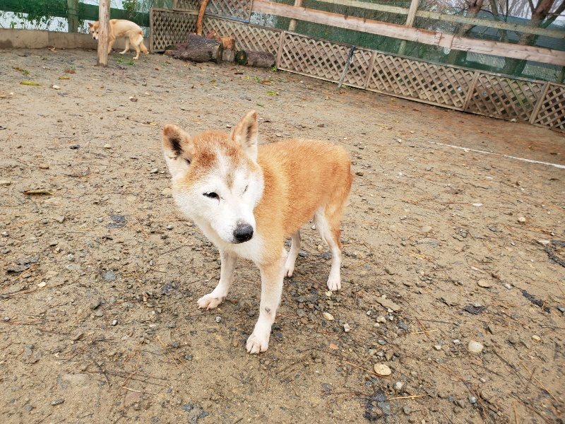 f:id:roukenhome-ann:20191213181837j:plain f:id:roukenhome-ann:20191213181837j:plain