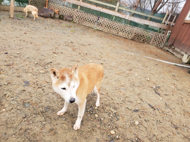 f:id:roukenhome-ann:20191213181847j:plain f:id:roukenhome-ann:20191213181847j:plain