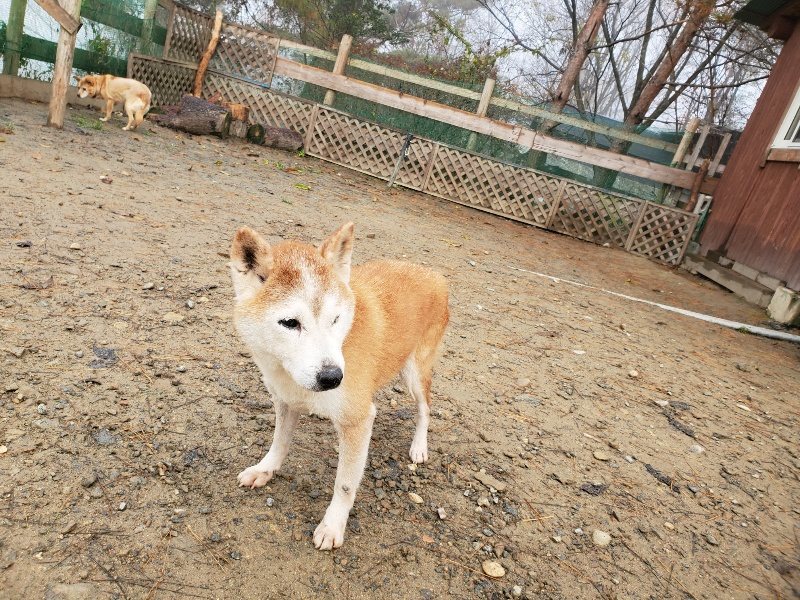 f:id:roukenhome-ann:20191213181859j:plain f:id:roukenhome-ann:20191213181859j:plain